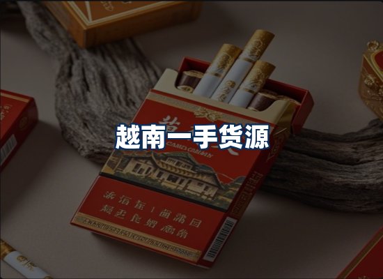 专业团队办公环境